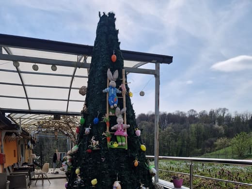 Blagdanski ukras na terasi Doma Golubić