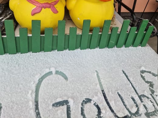 Vesela dekoracija s natpisom Golubić